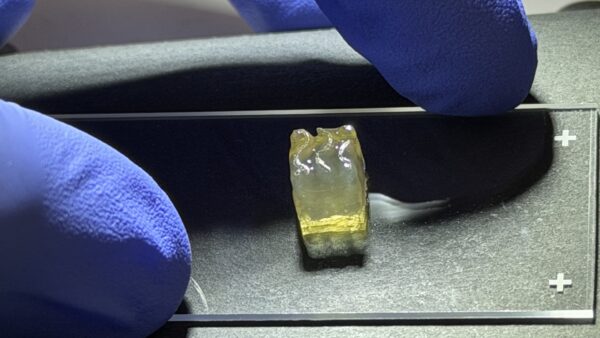 One ISS Bioprinter. Three tissue types. Twenty-eight nerve implants